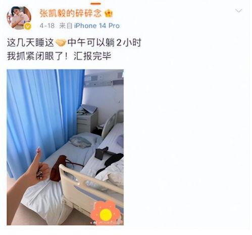 张凯毅男朋友爆料视频大全